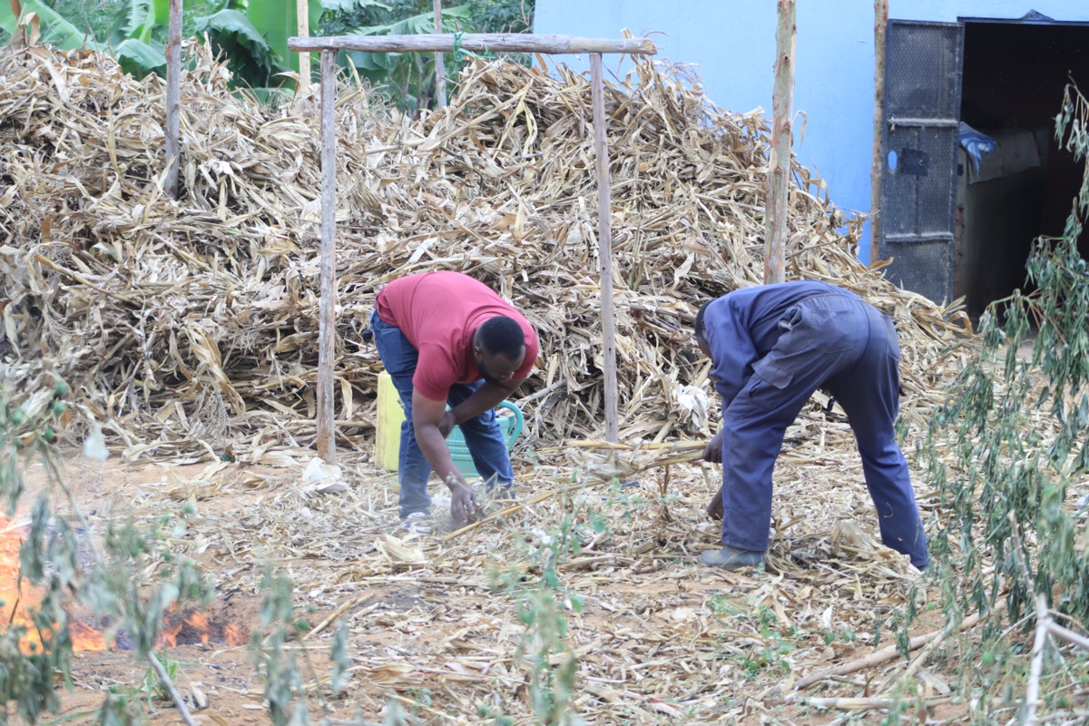 Workers processing biomass for biochar production