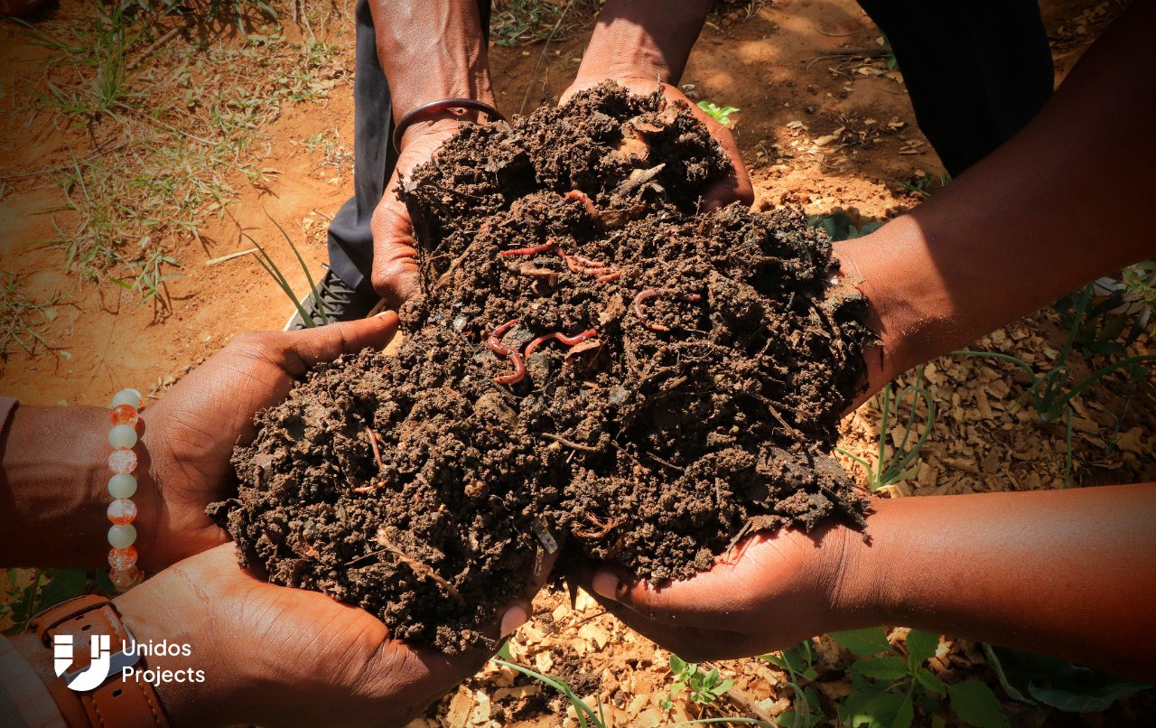 Worm compost - soil regeneration